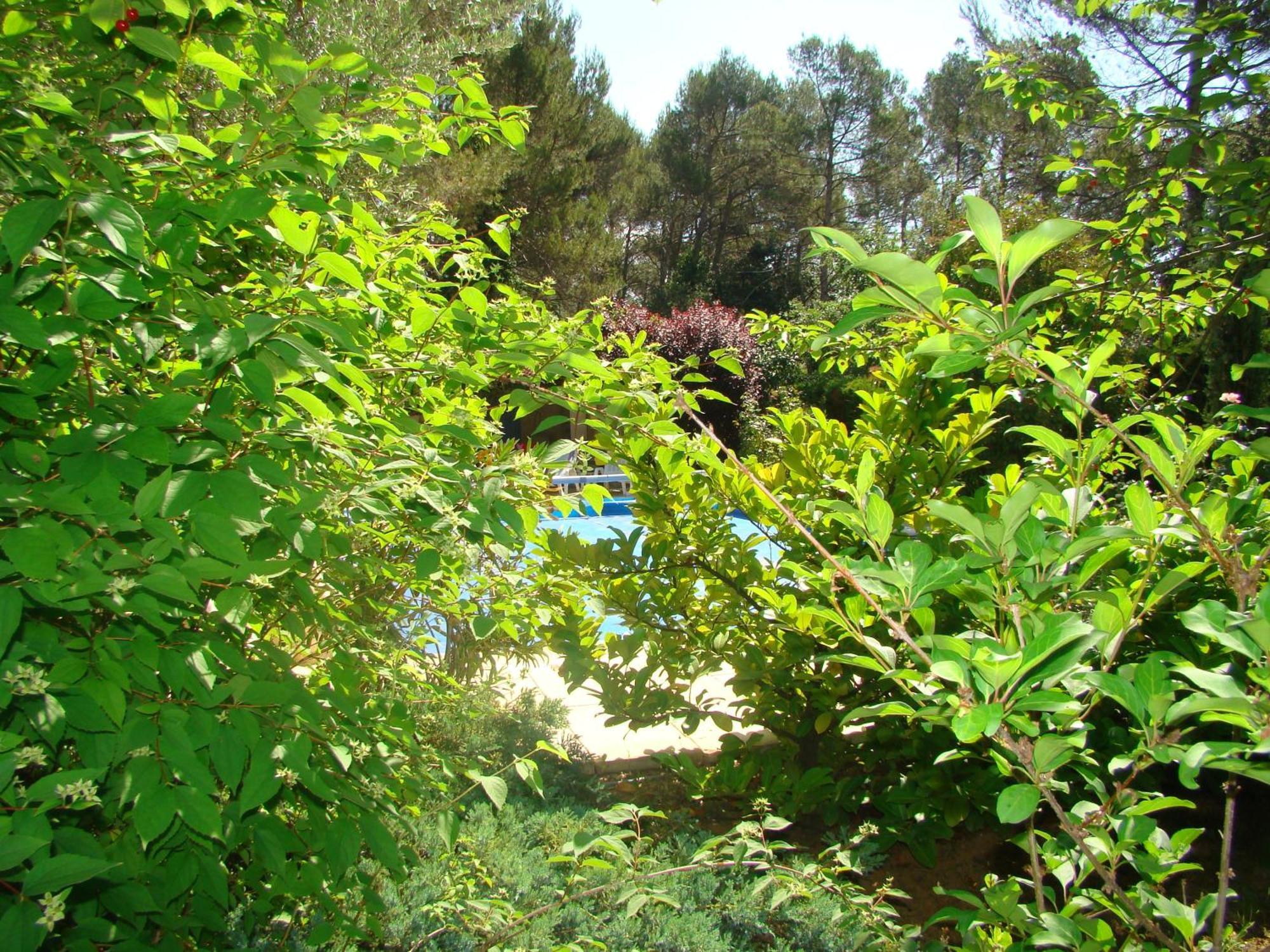 L'Oree Du Bois Saint-Maximin-la-Sainte-Baume Bagian luar foto
